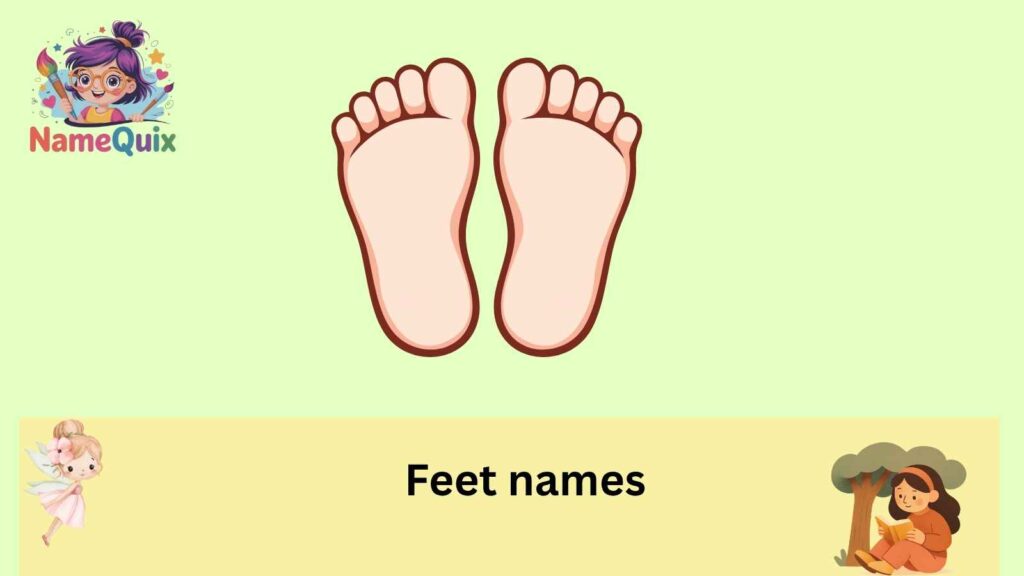 feet names