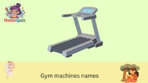 Gym machines names