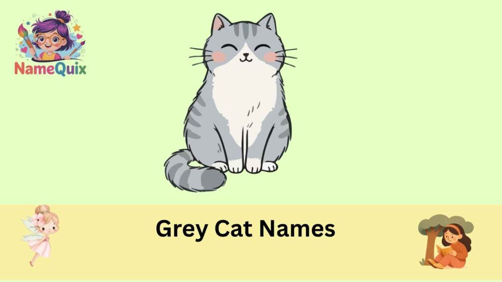 Grey Cat Names